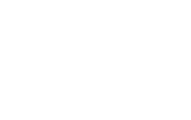 Processor
