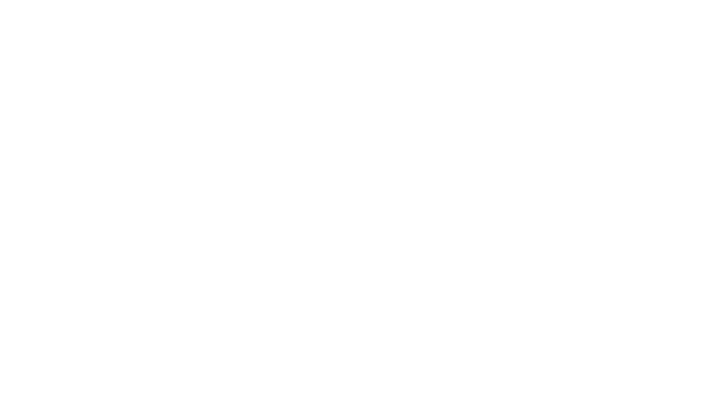 Ethereum Ventures