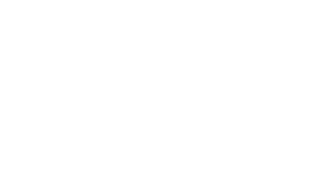 Springs Capital